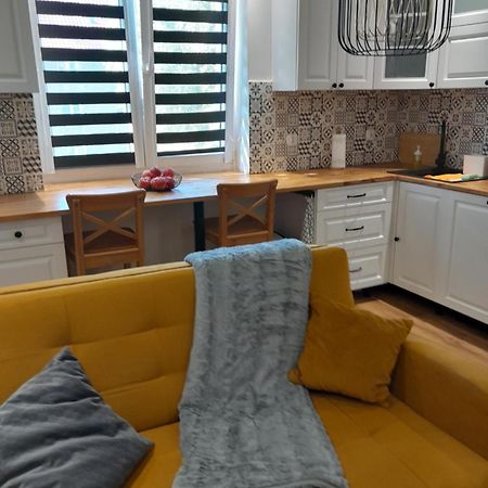 Apartament z Miłościa Boguszów-Gorce Zewnętrze zdjęcie