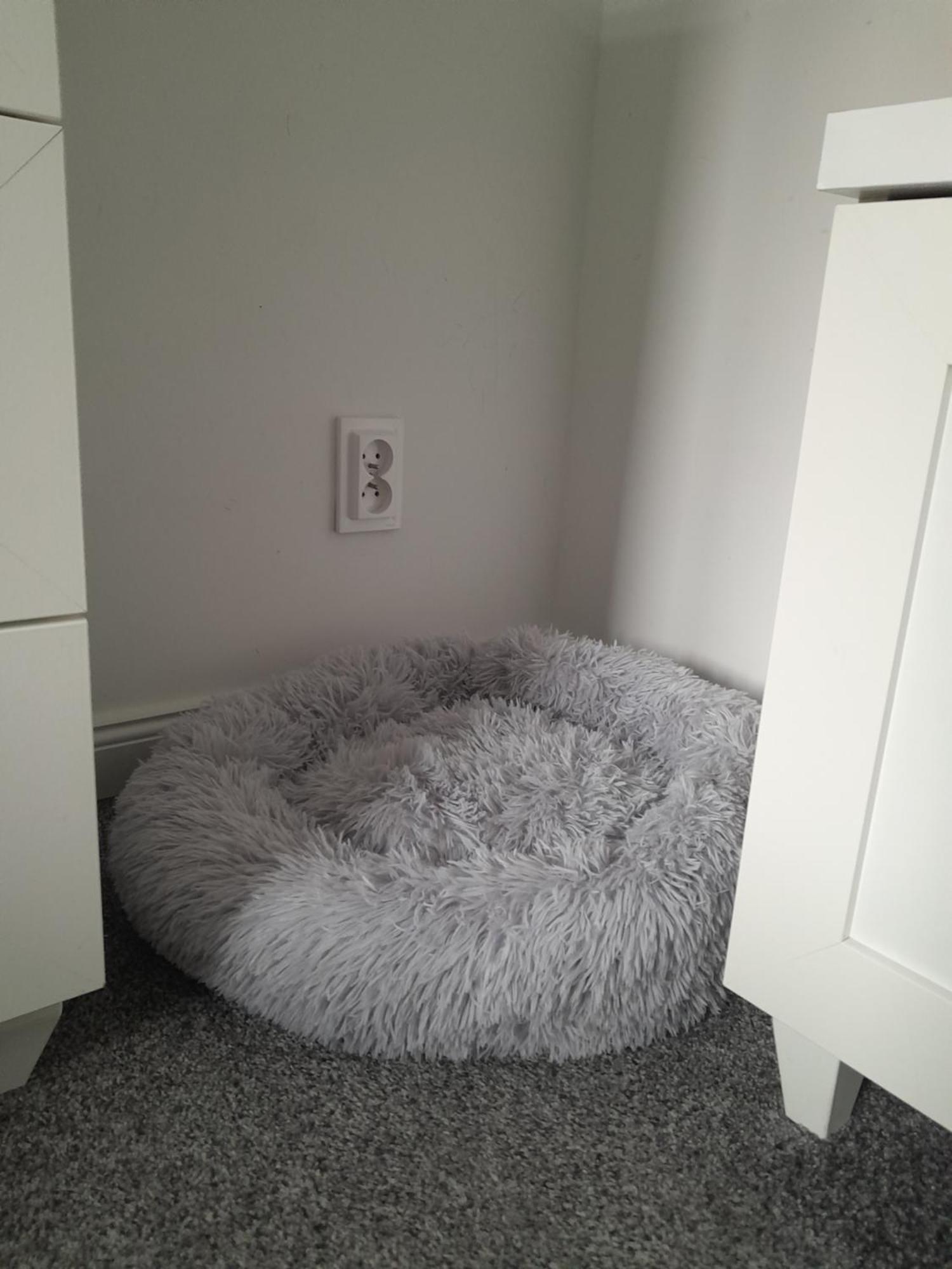 Apartament z Miłościa Boguszów-Gorce Zewnętrze zdjęcie